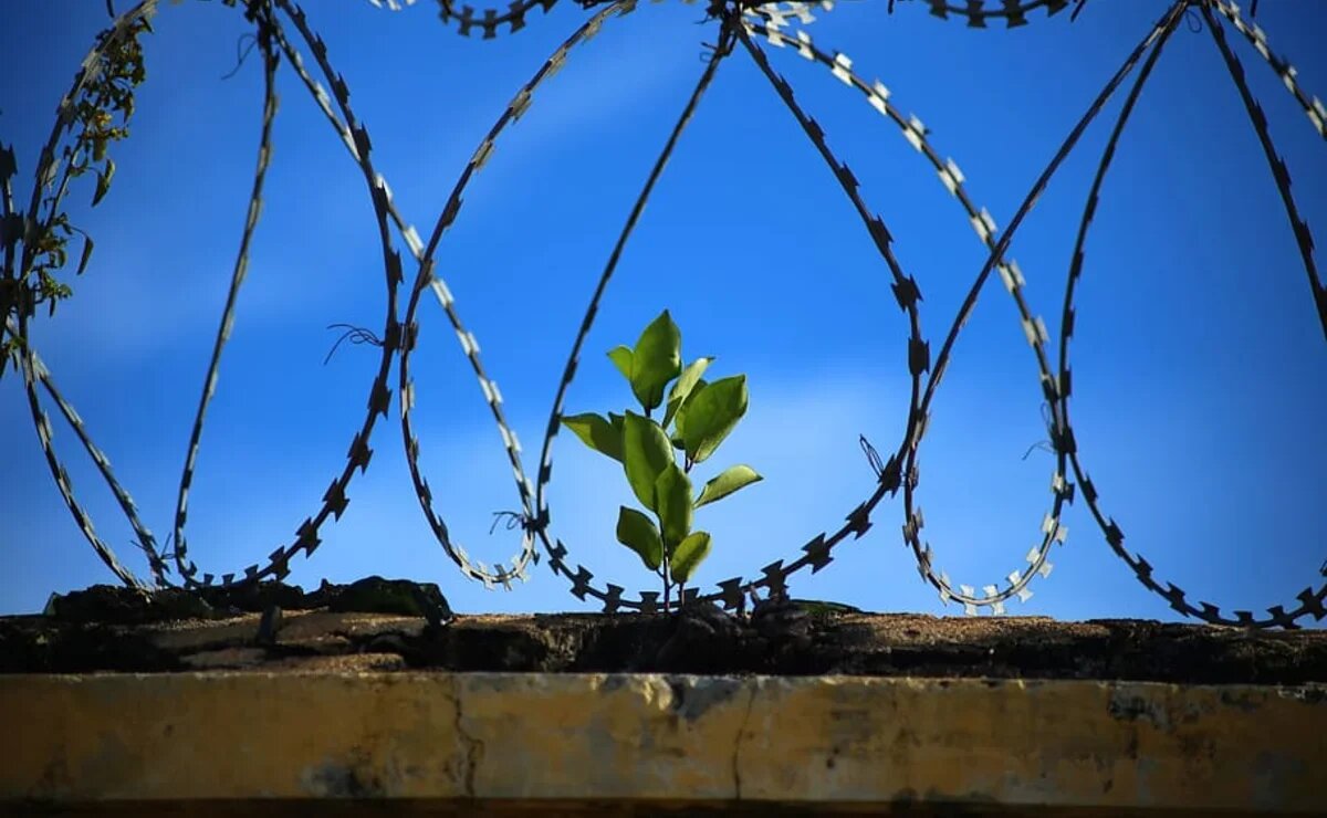    Любой турист теперь может попасть в тюрьму в Таиланде