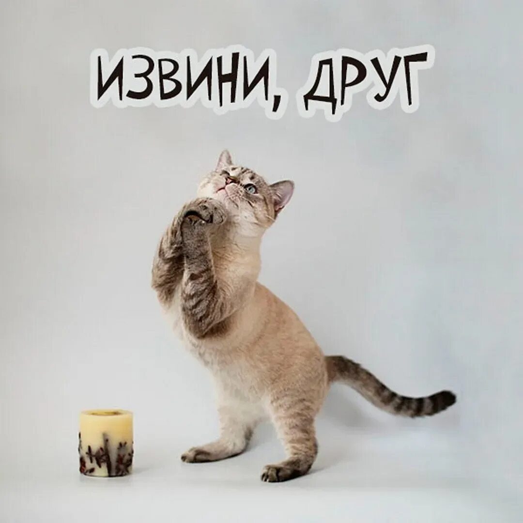 На это сильно не надейся , лучше горькая правда!!))