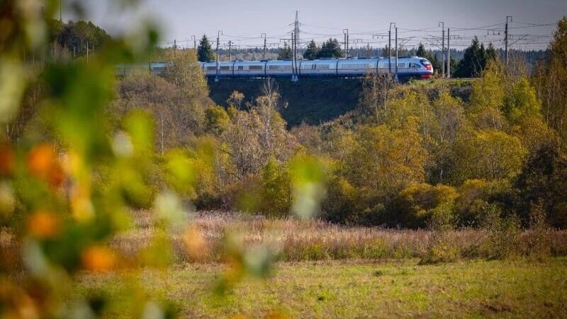 Поезда под прицелом: взрывы, сходы составов с рельсов, сбои в расписании, погибшие. Источник: РЖД