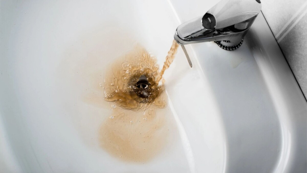    Фото: KariDesign/Shutterstock/Fotodom