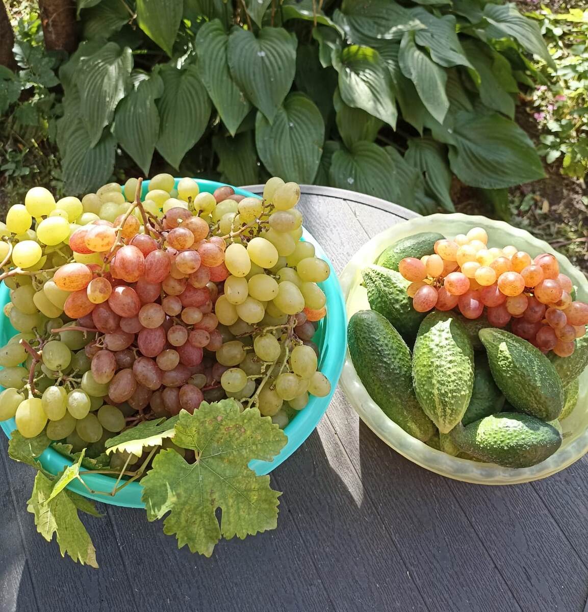 Очередные вкусности и полезности)) 