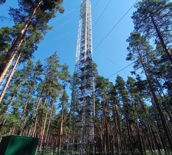 ВГЛТУ запустил автоматическую станцию мониторинга парниковых газов в лесных экосистемах