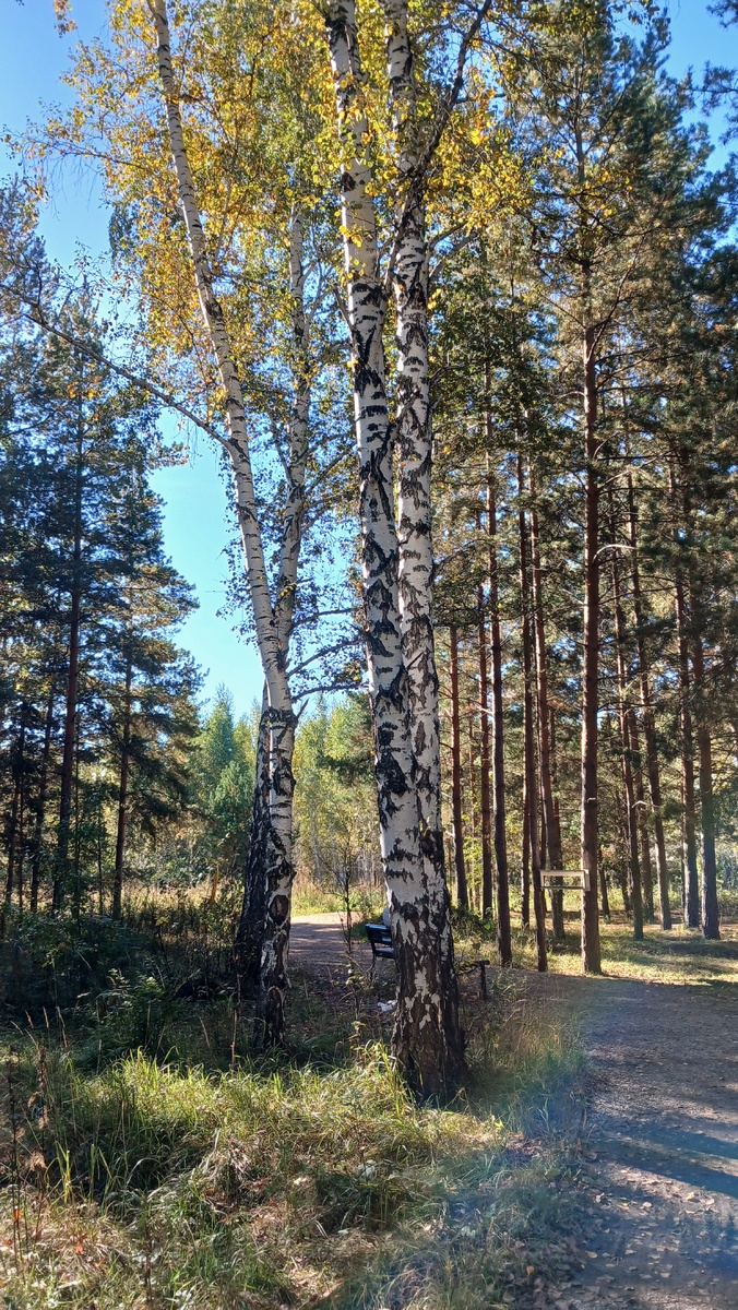 "Доброе утро, мир! Ты прекрасен!" Фото автора