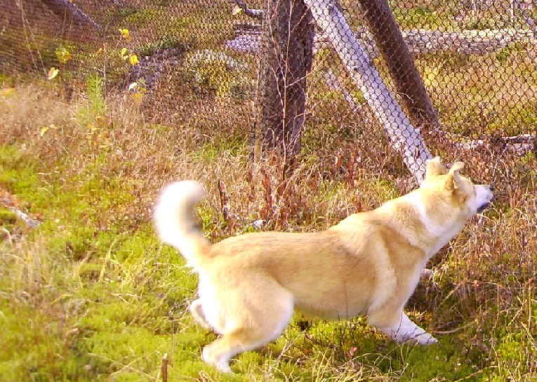 Что-то заметила