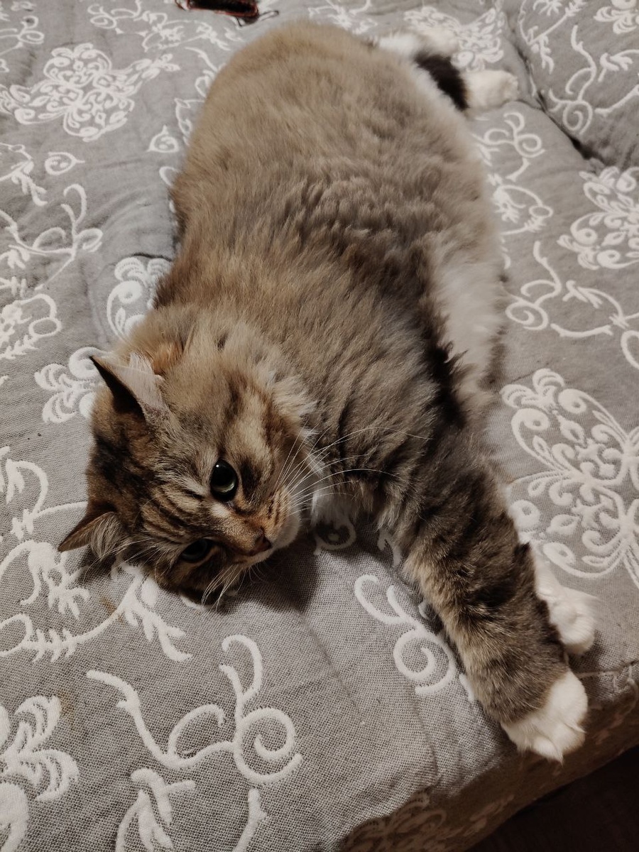  Все фото авторские