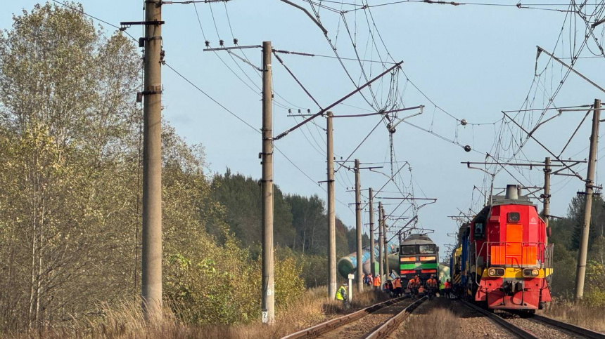    Фото: Известия/Анастасия Курочкина; 5-tv.ru