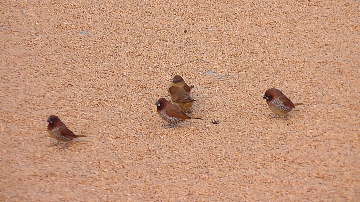 Выглядело это так (все фото в статье - мои)