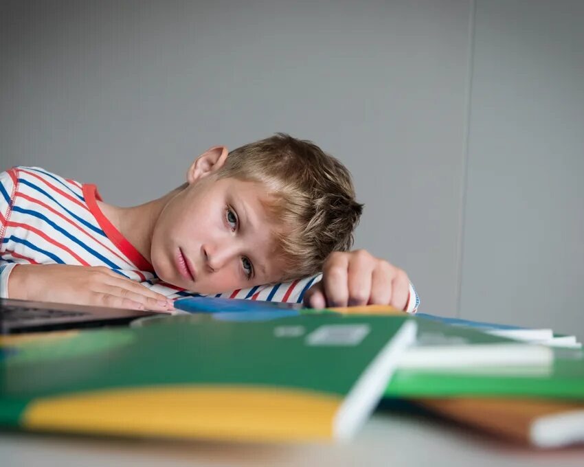 Фото из сетей интернета