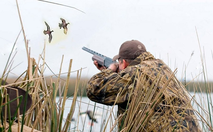     Стрельба по утке "влет": делимся секретами меткого выстрела