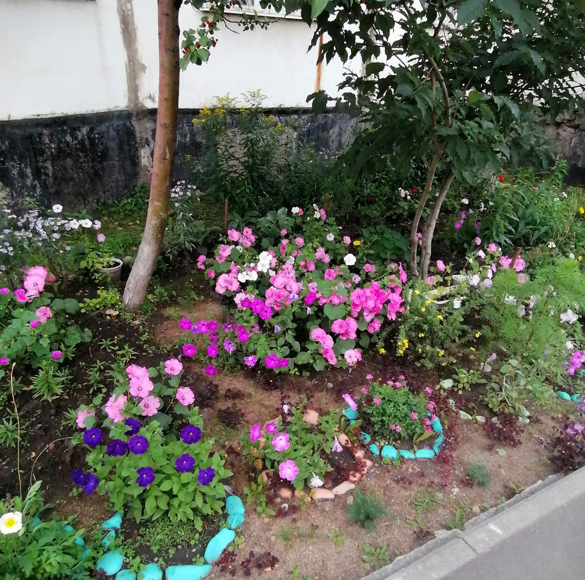 цветник около нашего подъезда