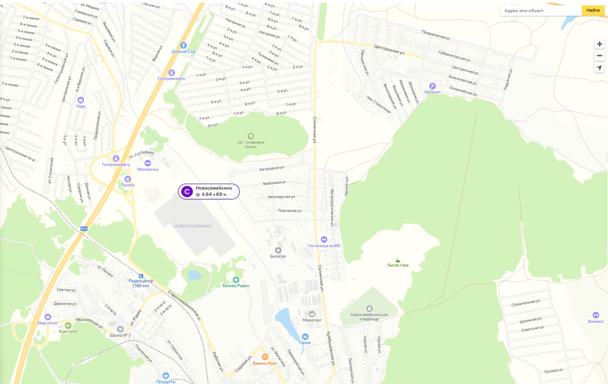 Новосемейкино Wildberries