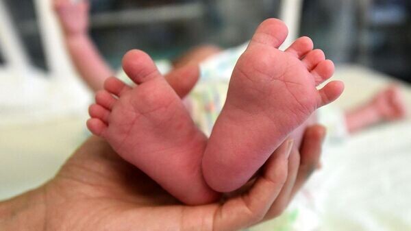    © Sputnik / Мария Амелина