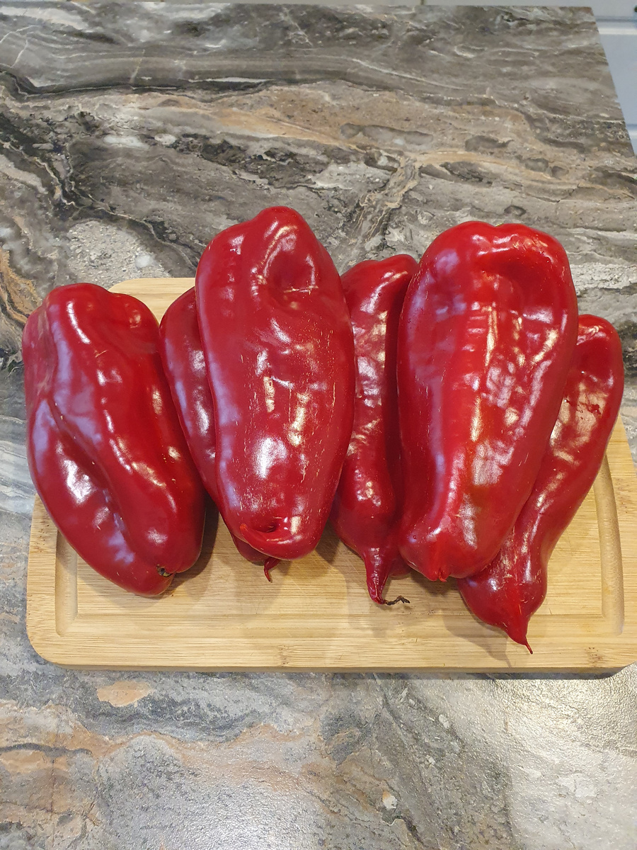 Перец сладкий Любова ладонь.