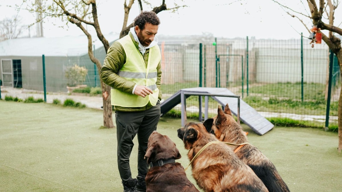    Самая главная команда для собаки — «ко мне»