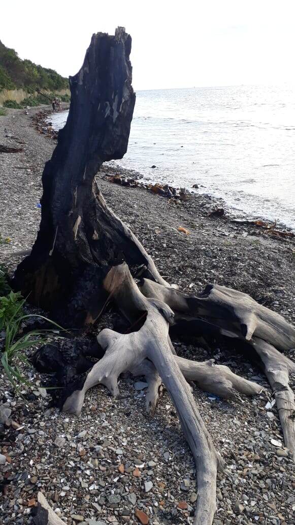 Охотское море