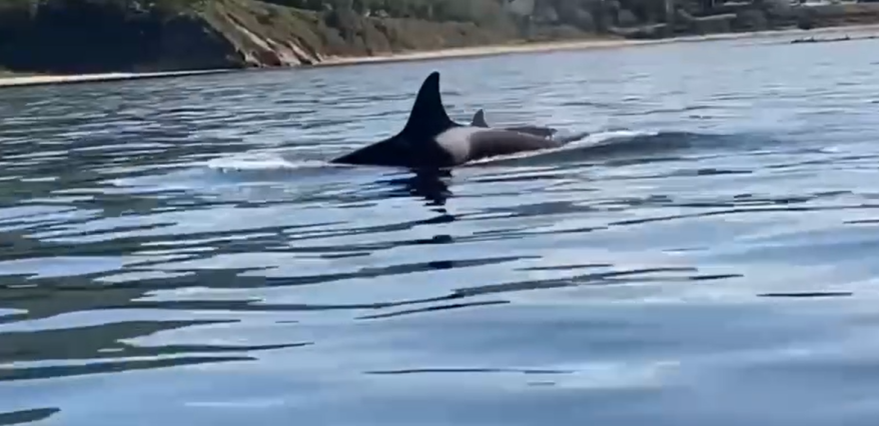    Источник фото: