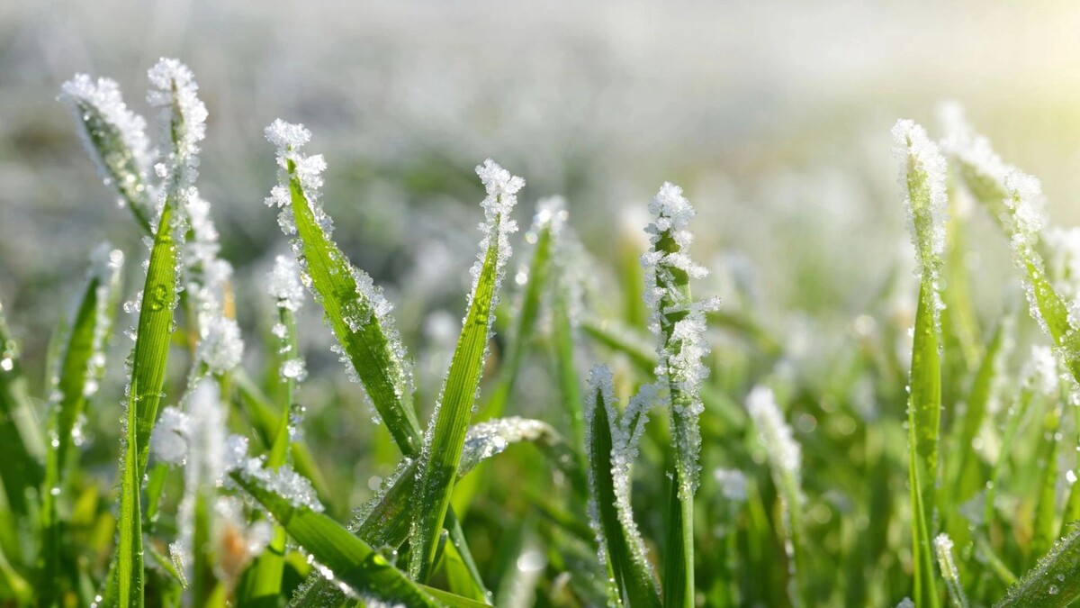    Фото: Vaclav Volrab/Shutterstock/Fotodom