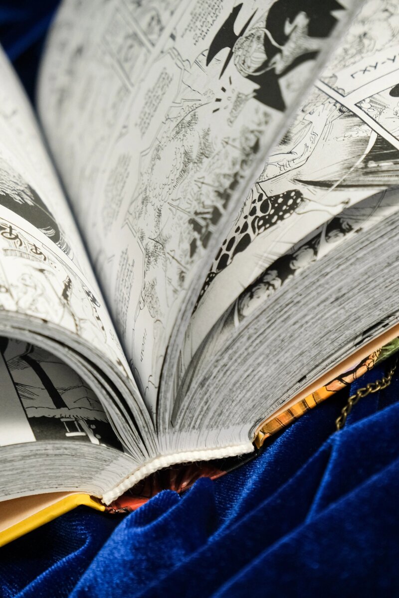 Книжка значит толстенькая... и в ней оттакое количество оттаких рисунков (листайте галерею) отсюда https://azbooka.ru/books/one-piece-bolshoy-kysh-kniga-22-doroga-vedyschaya-k-solntsy