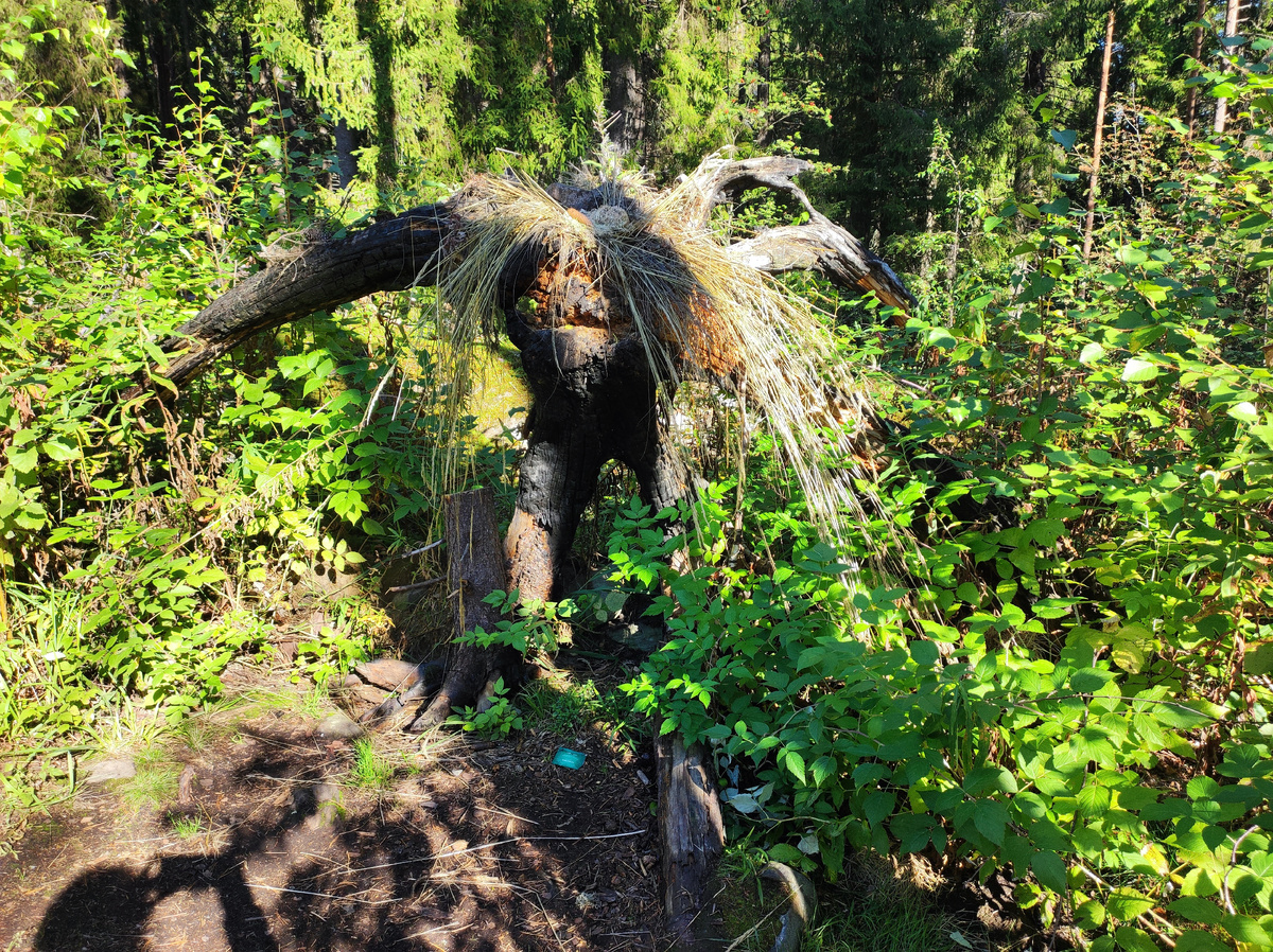 Хийси, лесной дух