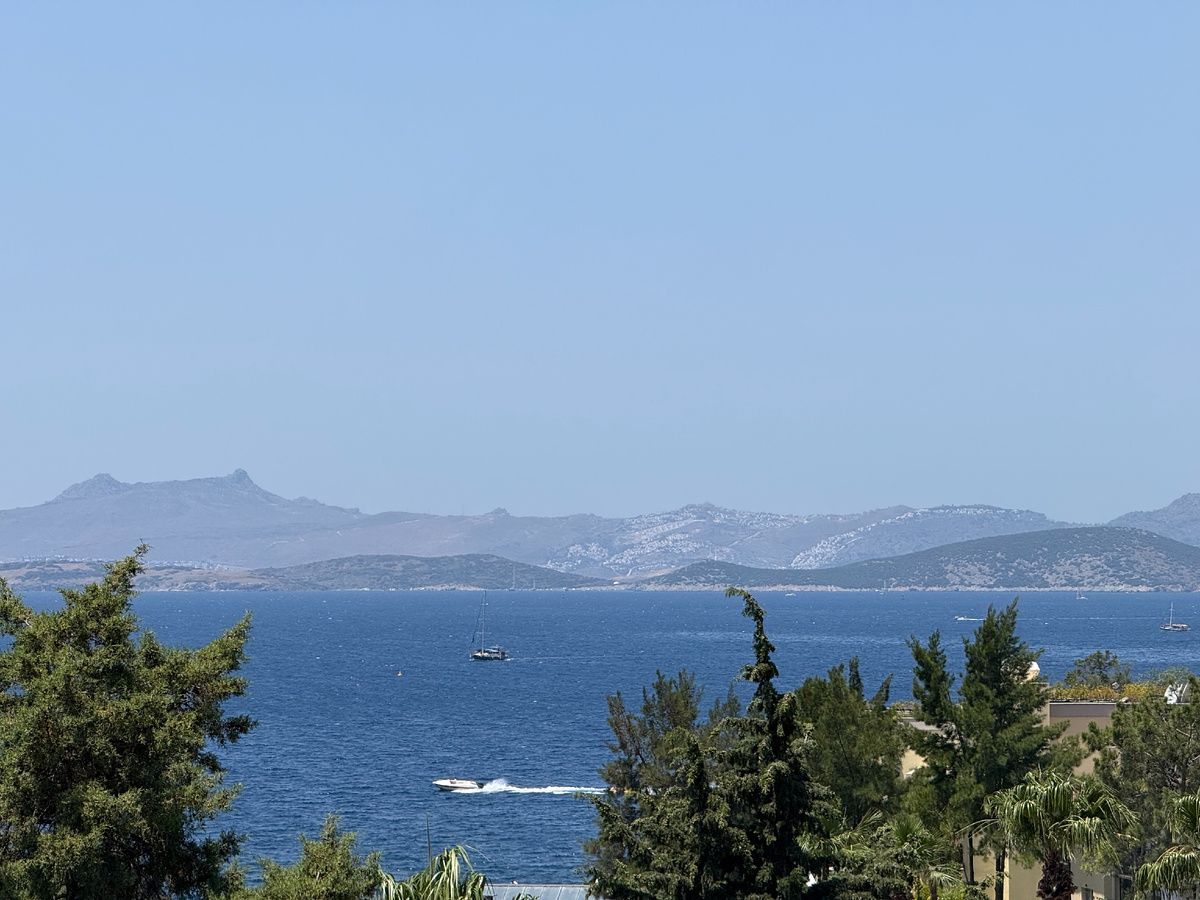 Вид с территории отеля