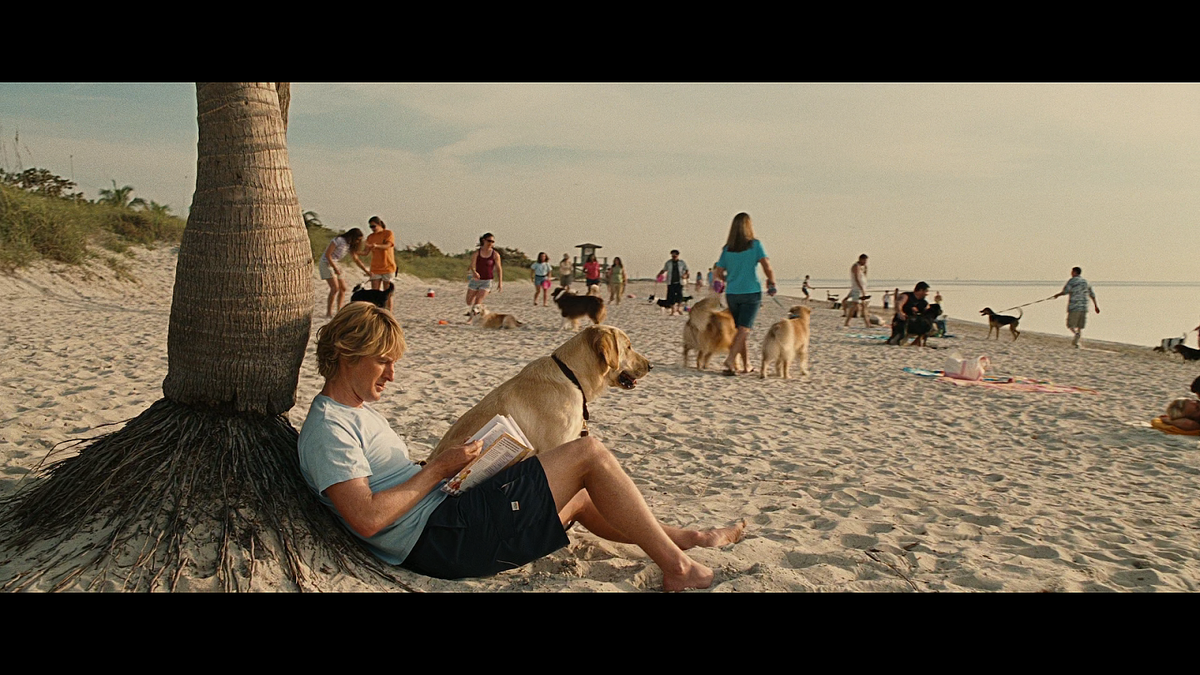 Кадр из фильма Марли и я (2008)