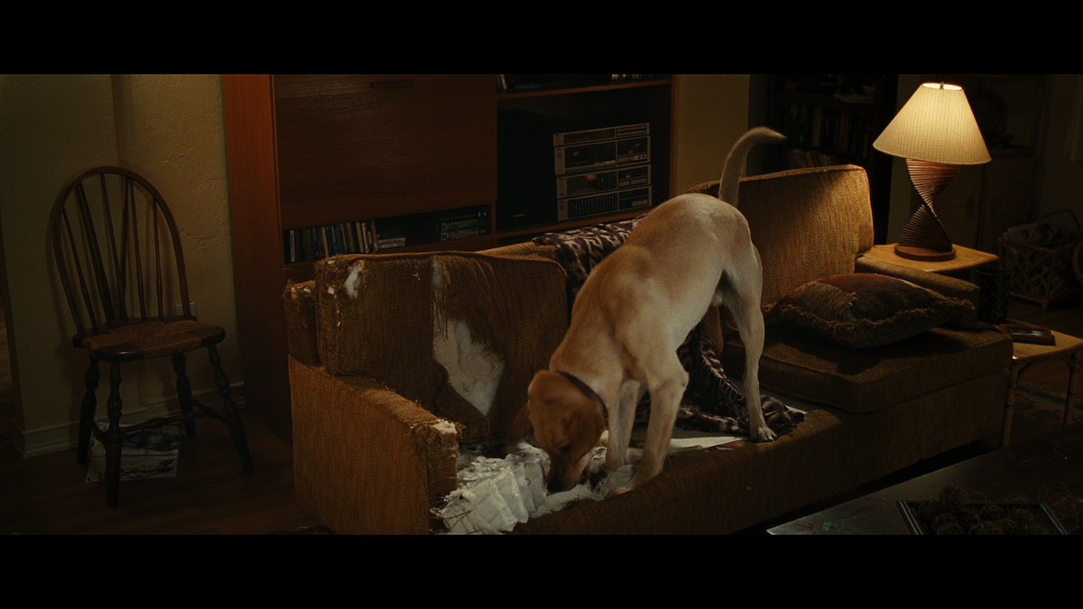 Кадр из фильма Марли и я (2008)