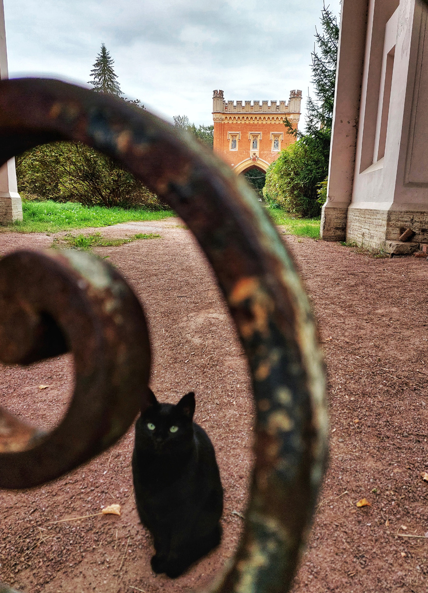 Может, эта она - та самая наша удача? 😉