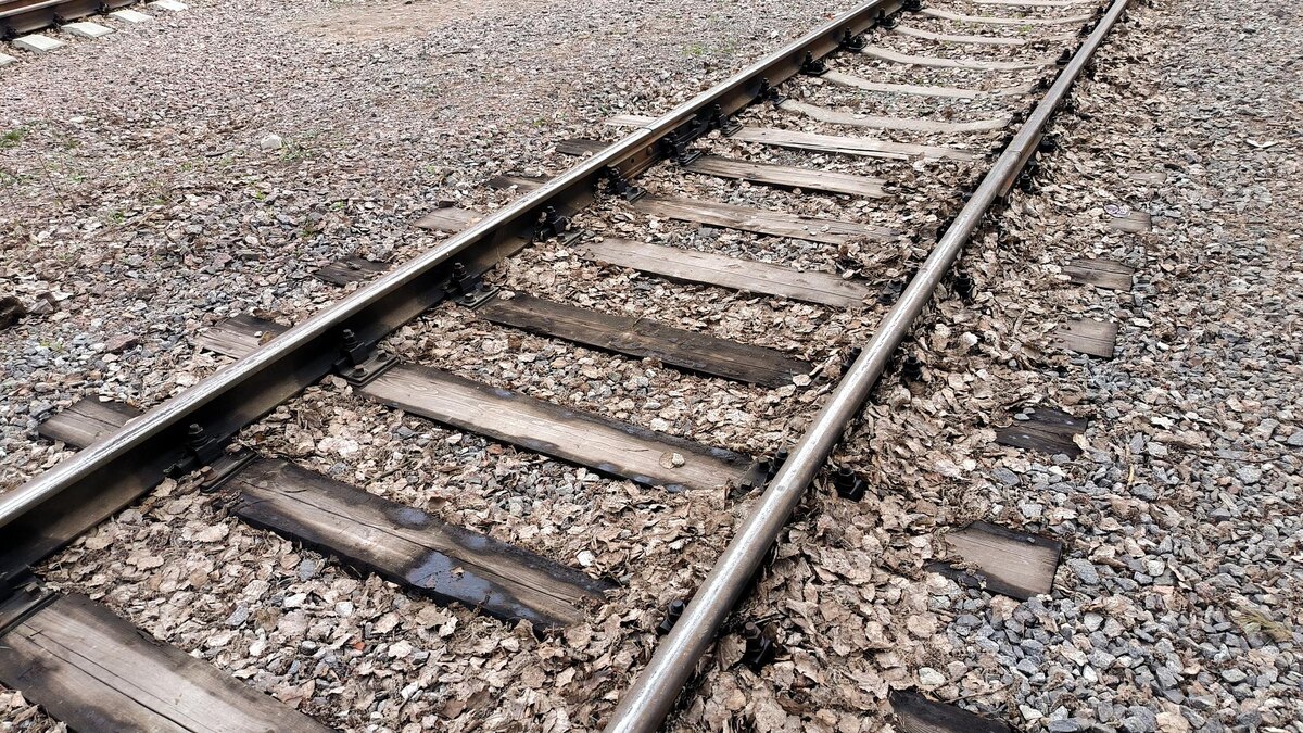    Фото: Maksim Konstantinov/Global Look Press/globallookpress.com