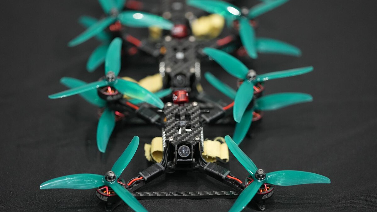    Фото: ИЗВЕСТИЯ/Дмитрий Коротаев