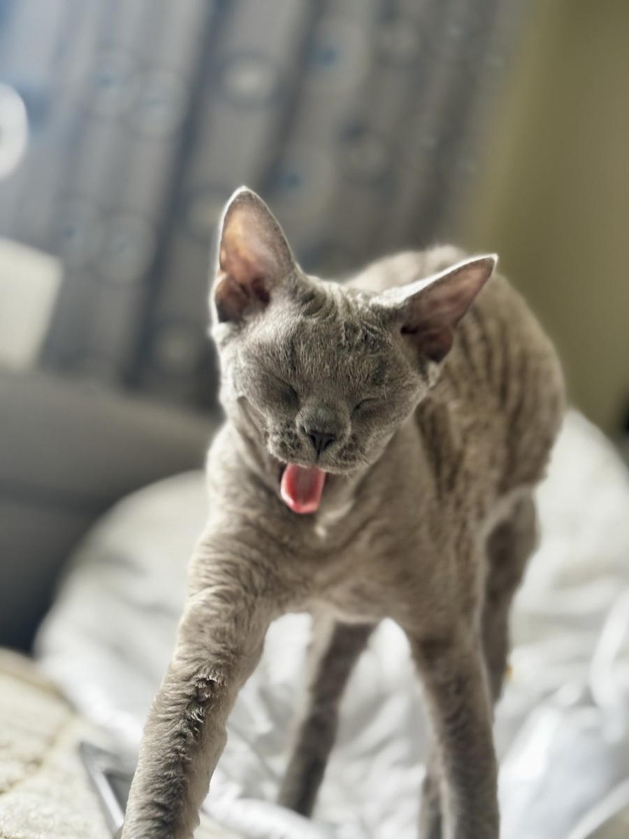 Собирается в вуз