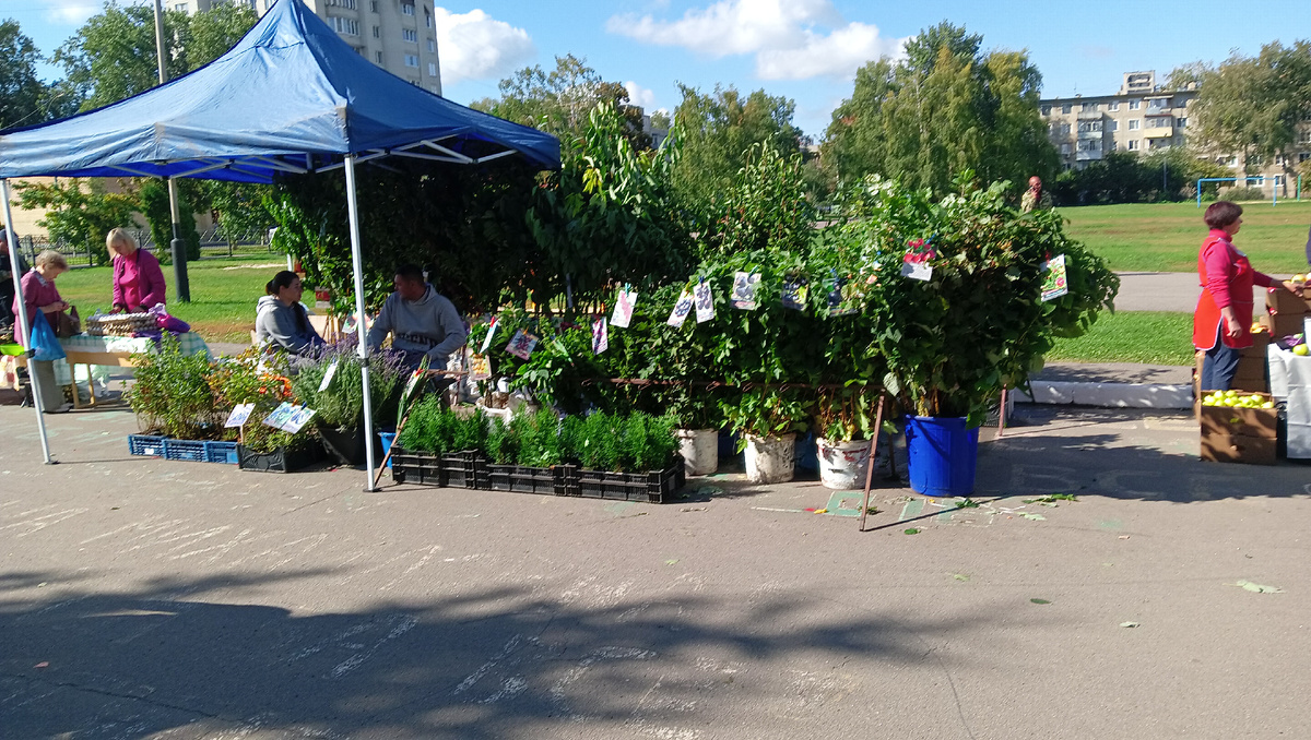 Фото автора 