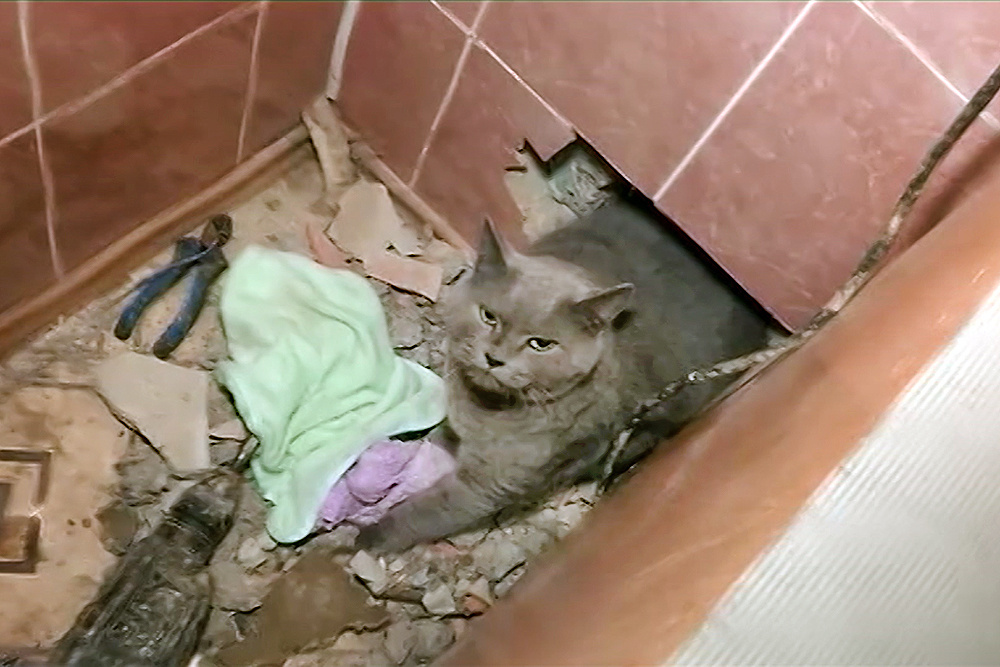    ©АО "ТВ Центр"