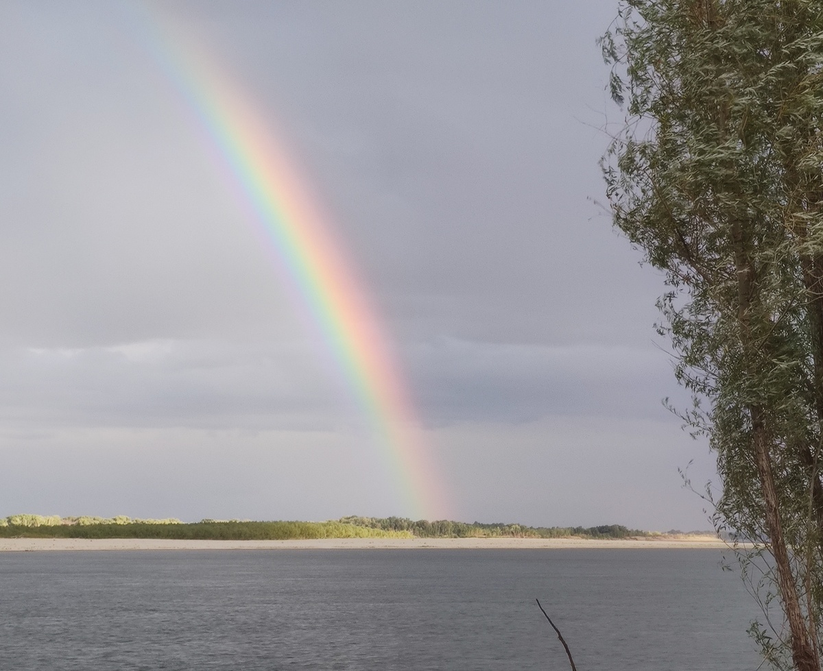 Каждый охотник желает знать где сидит фазан
