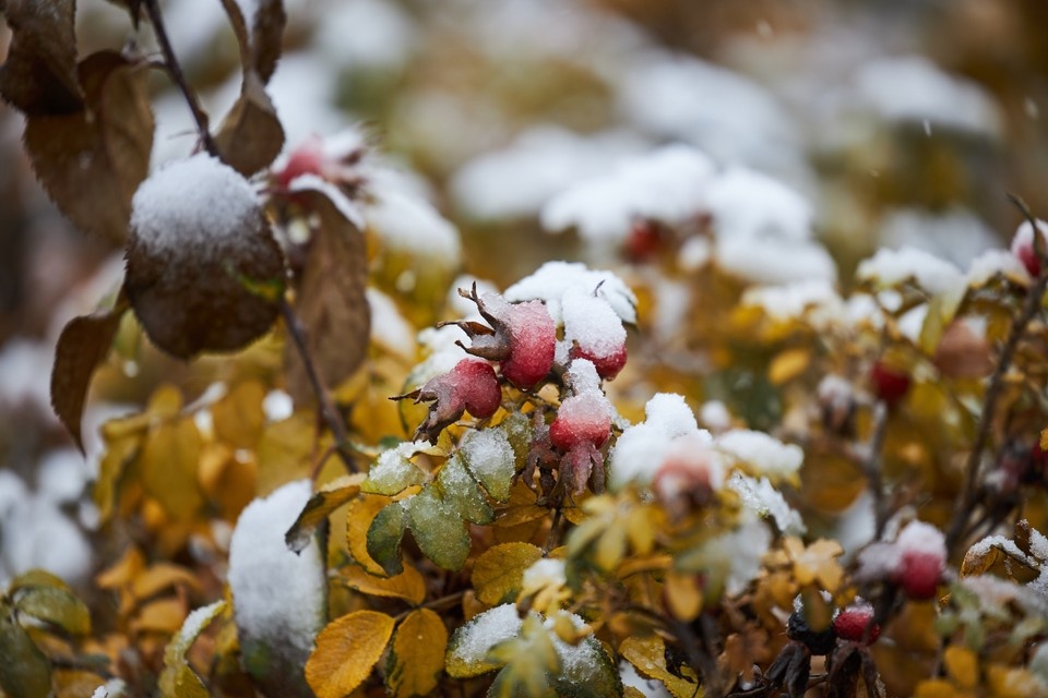    Прогноз ЧС в Якутии на 15 сентября: опасных явлений не ожидается Николай ОБЕРЕМЧЕНКО