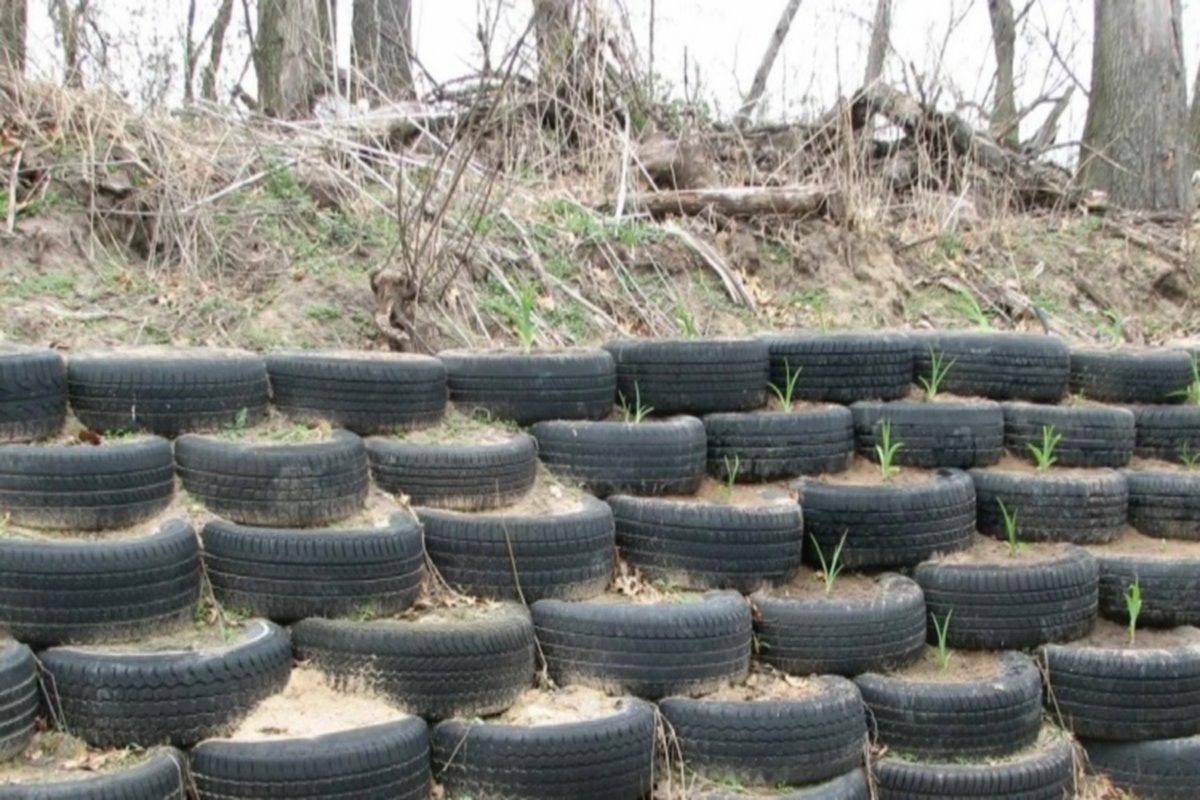    Фото: Dizlandshafta.ru, источник: dizlandshafta.ru