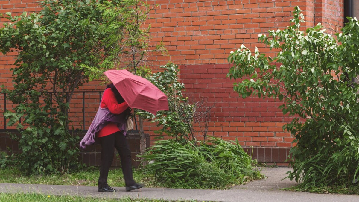    Фото: Popovphoto/Shutterstock/Fotodom