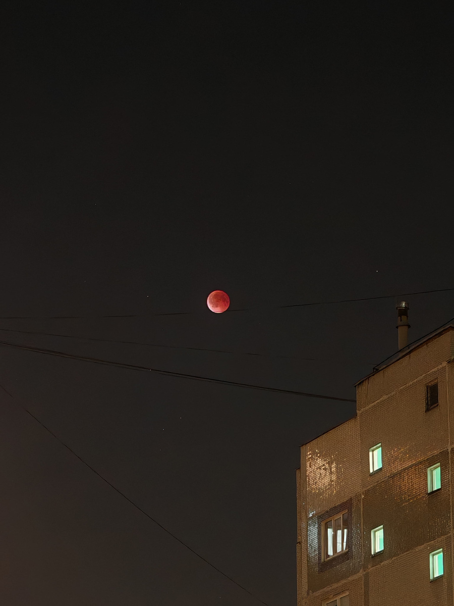 Кровавая луна. Недавнее лунное затмение. Фото автора.