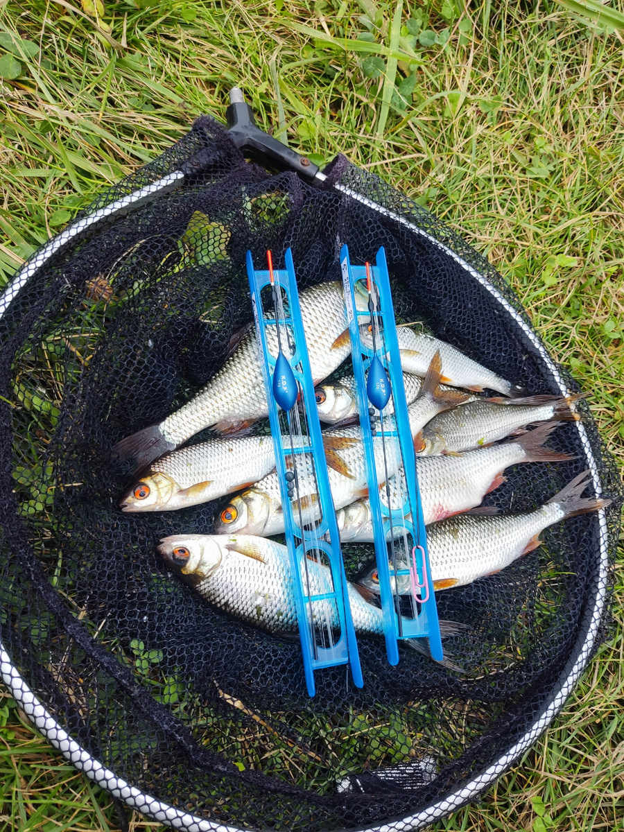 Доступные любительские поплавки из ассортимента KDF