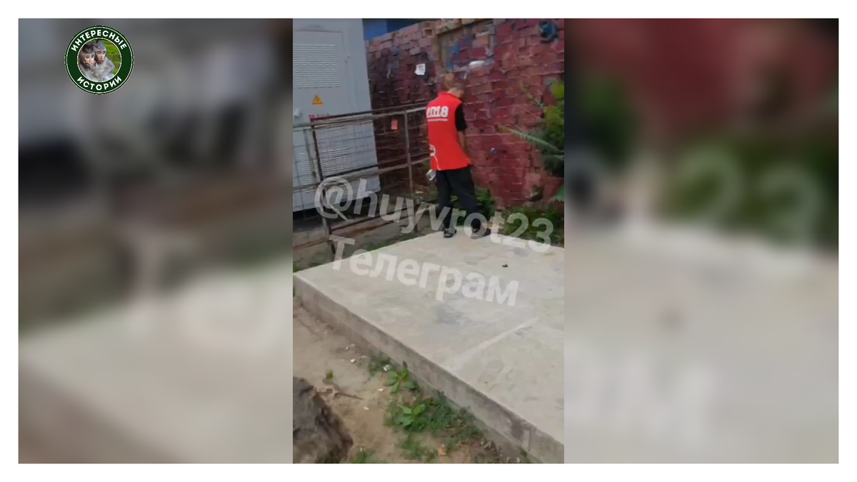 Автор: В. Панченко