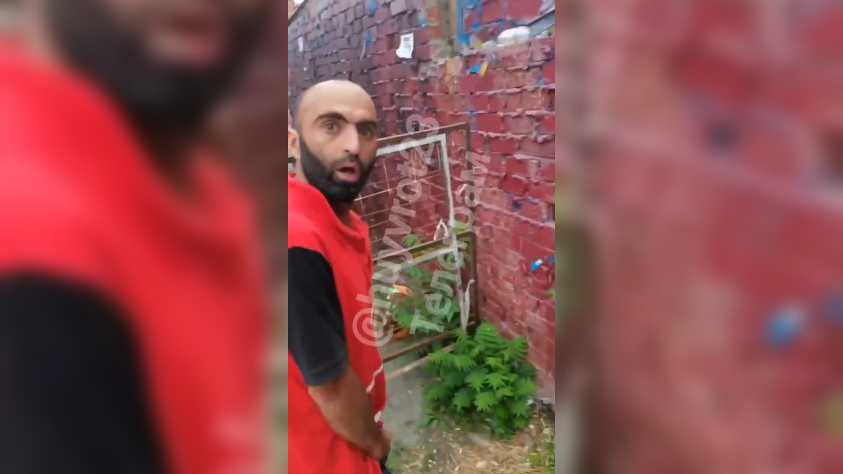 Автор: В. Панченко