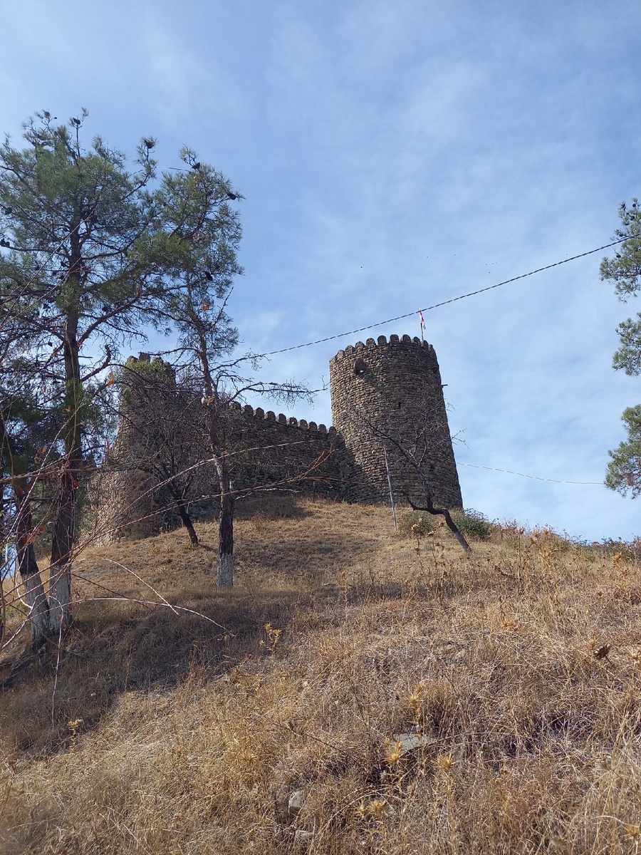 Небольшая, но явно очень крепкая