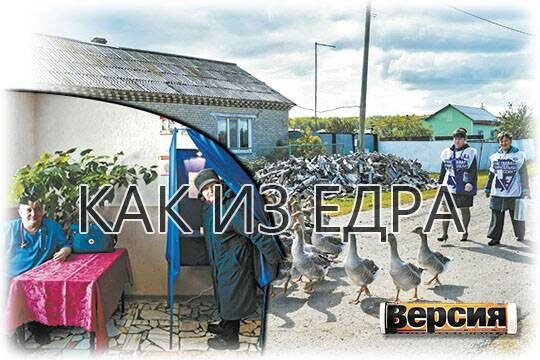    Как из ЕдРа