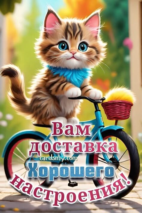 Фото из открытого источника в интернете.