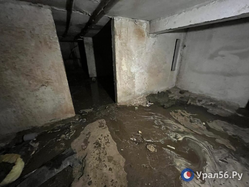    В Орске две компании оштрафовали за затопление подвала канализацией