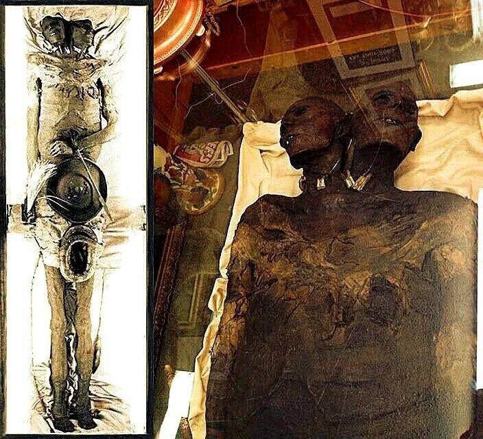 Автор: https://static34.tgcnt.ru/posts/_0/a1/a11272d8969099e19ca5f96f04efd75f.jpg