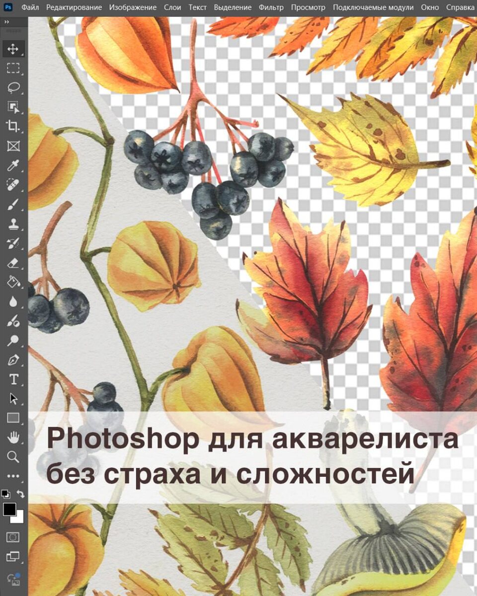 Работа с акварельной иллюстрации в программе  Adobe Photoshop