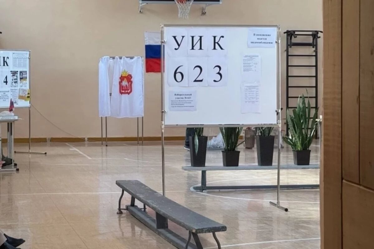    Более 900 тысяч южноруальцев приняли участие в голосовании за депутатов ЗСО