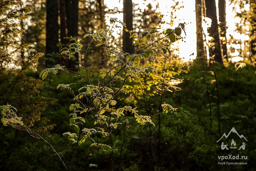  Автор фотографии: Елена Георгиевская