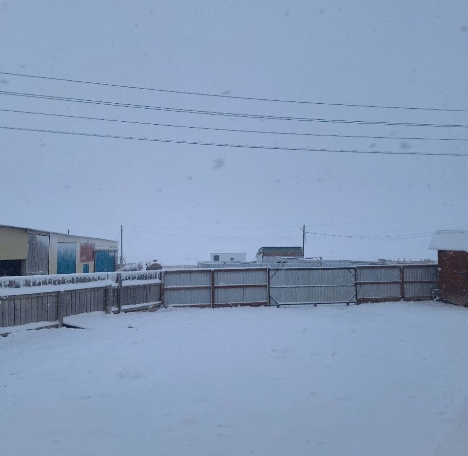    Снег в Ташанте. Источник: Алтай: главные новости (тöс солундар) / t.me/solundar