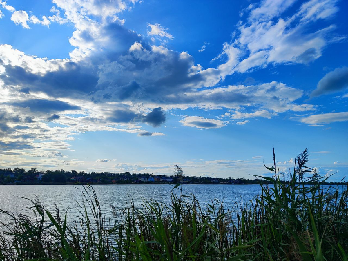 Фото автора.